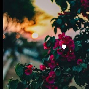 Meet your Posher, Lupe